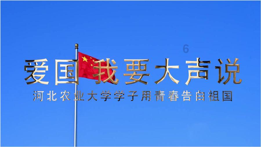 河北违章查询在线查询官网游戏画面