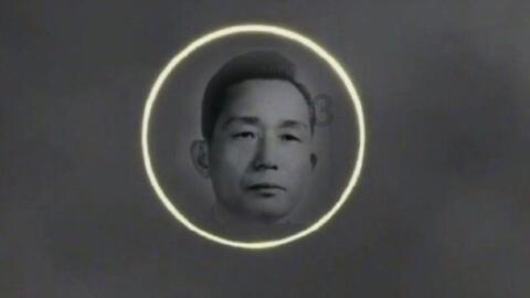 动物帮帮忙保卫家园