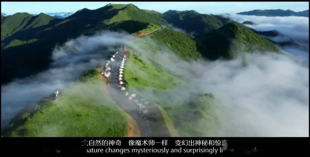 生化危机保护伞小队